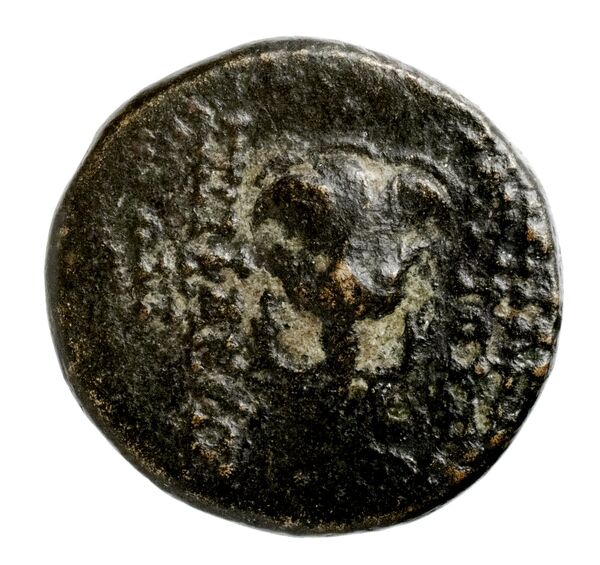 реверс Seleucid Coins (part 2) 2316