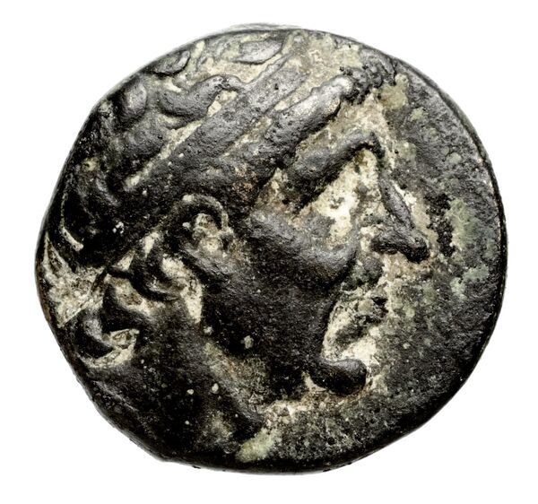 аверс Seleucid Coins (part 1) 351.1c