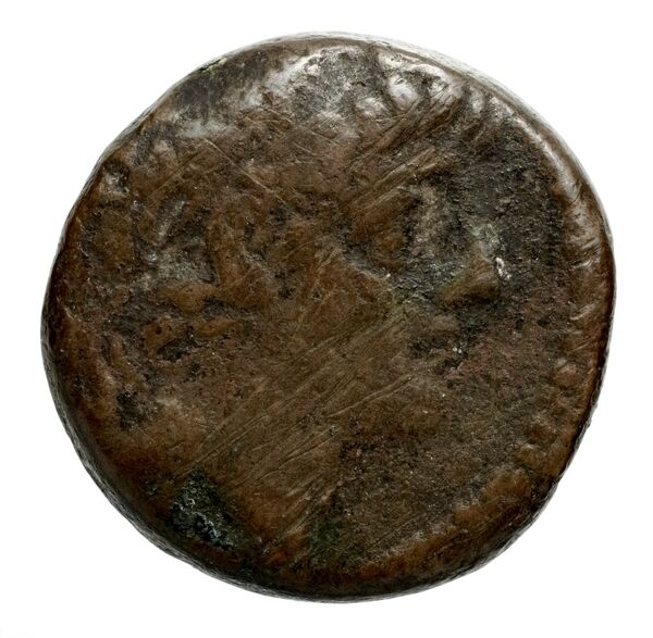 Seleucid Coins (part 2) 2364.1e, аверс, bnf-hrc