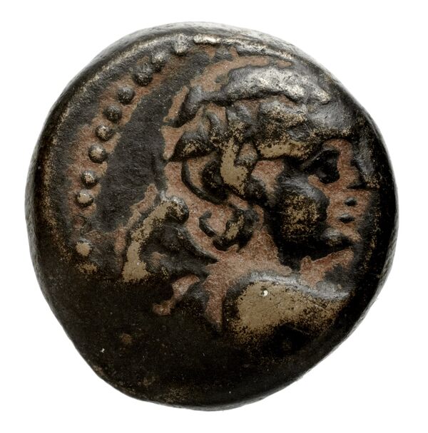 Seleucid Coins (part 2) 2388.2, аверс, bnf-hrc