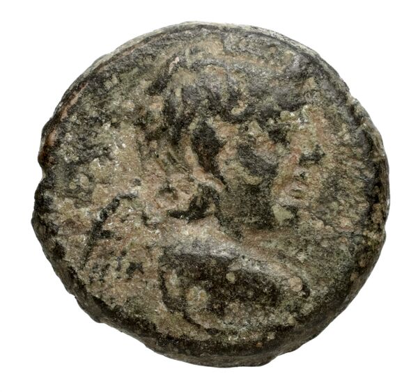 Seleucid Coins (part 2) 2388.2, аверс, bnf-hrc
