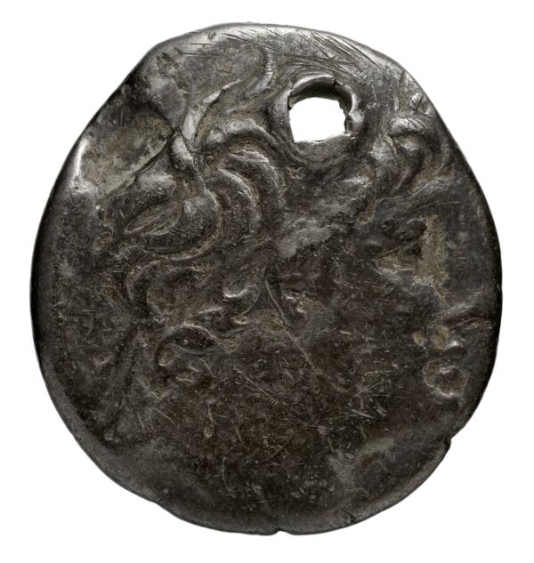 аверс Seleucid Coins (part 2) 2390.5