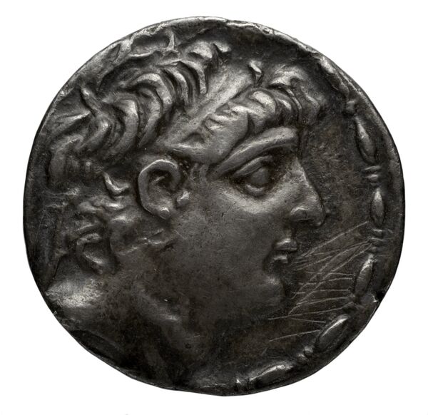аверс Seleucid Coins (part 2) 2355b