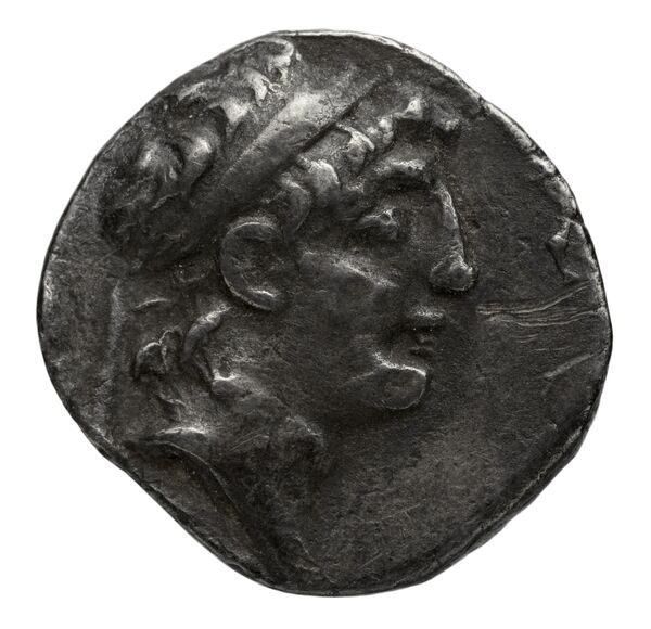 Seleucid Coins (part 2) 2287, аверс, bnf-hrc