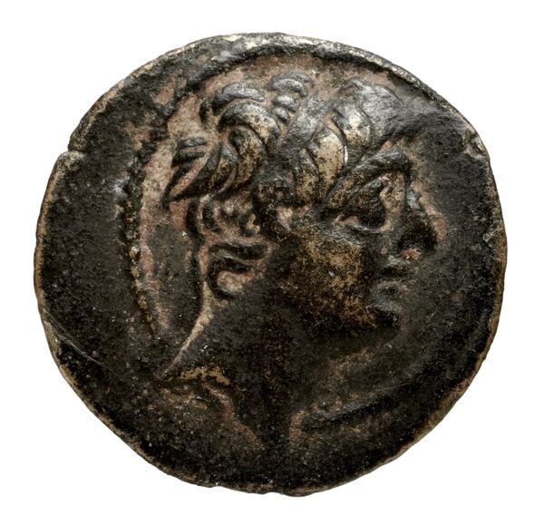 аверс Seleucid Coins (part 2) 2373f