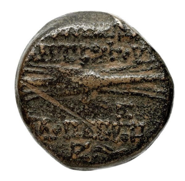 реверс Seleucid Coins (part 2) 2364.2b