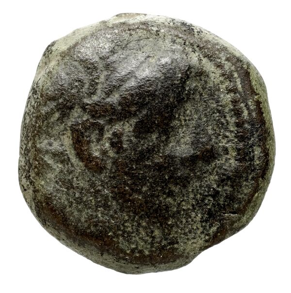Seleucid Coins (part 2) 2364.2, аверс, bnf-hrc