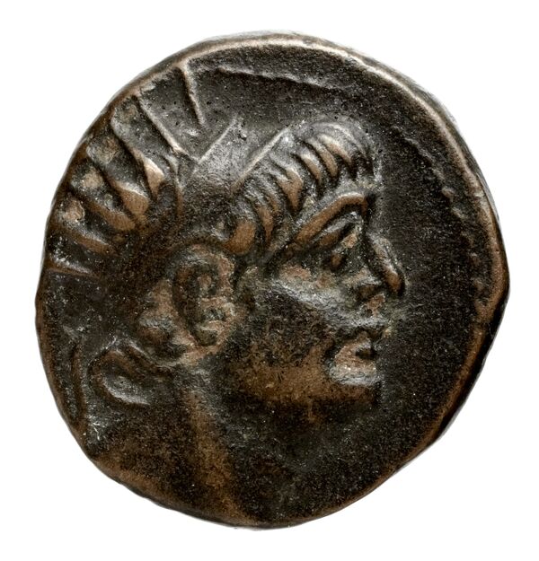 аверс Seleucid Coins (part 2) 2377