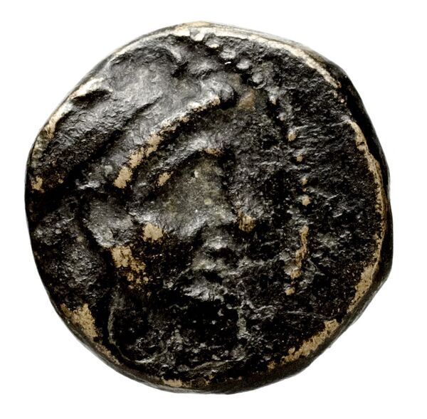 аверс Seleucid Coins (part 1) 353