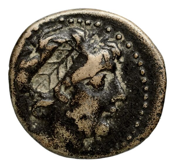 аверс Seleucid Coins (part 2) 2353.1b