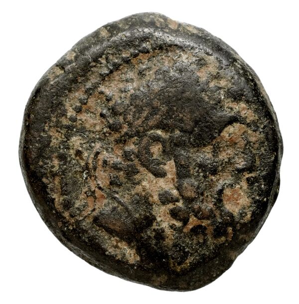 Seleucid Coins (part 2) 2368, аверс, bnf-hrc
