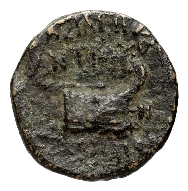реверс Seleucid Coins (part 2) 2378.2