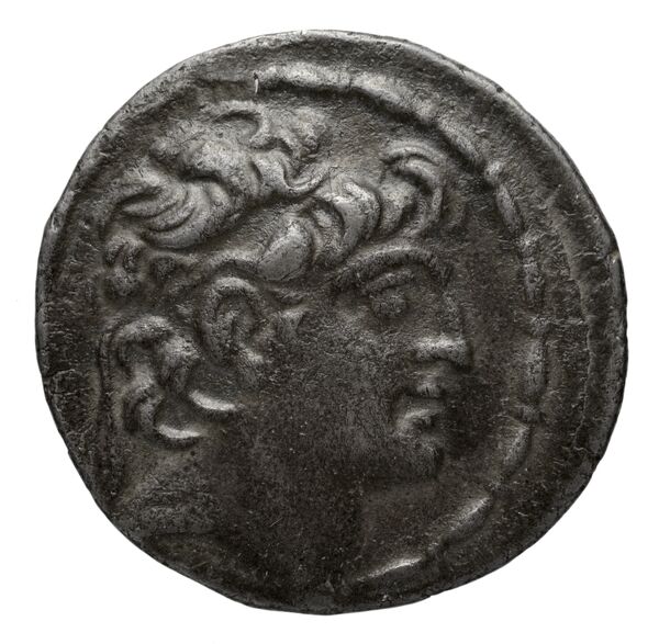 аверс Seleucid Coins (part 2) 2405.9