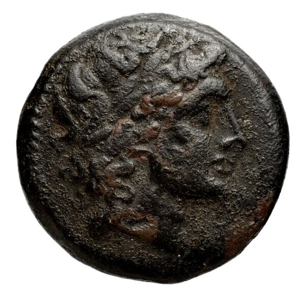 аверс Seleucid Coins (part 1) 381