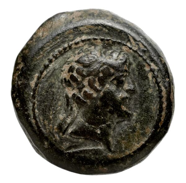 аверс Seleucid Coins (part 2) 2409