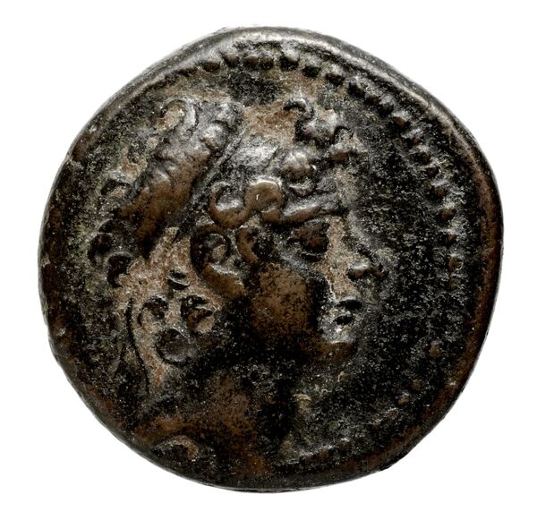 аверс Seleucid Coins (part 2) 2425.3