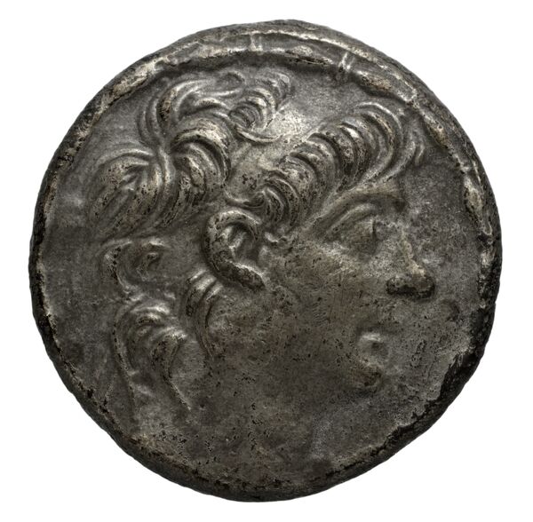 аверс Seleucid Coins (part 2) 2428b