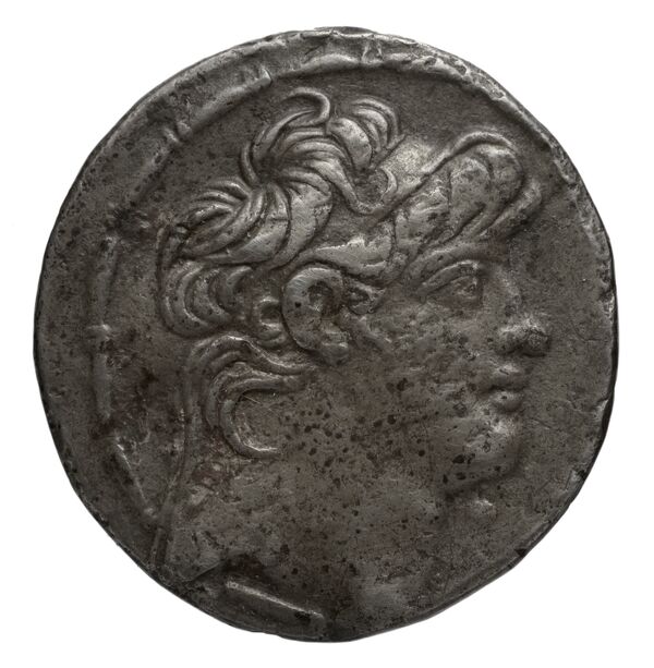 аверс Seleucid Coins (part 2) 2428d