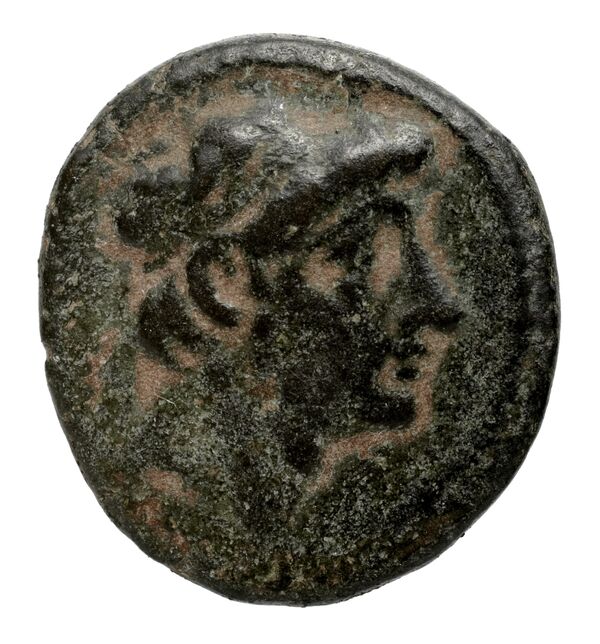 obverse Seleucid Coins (part 2) 2427