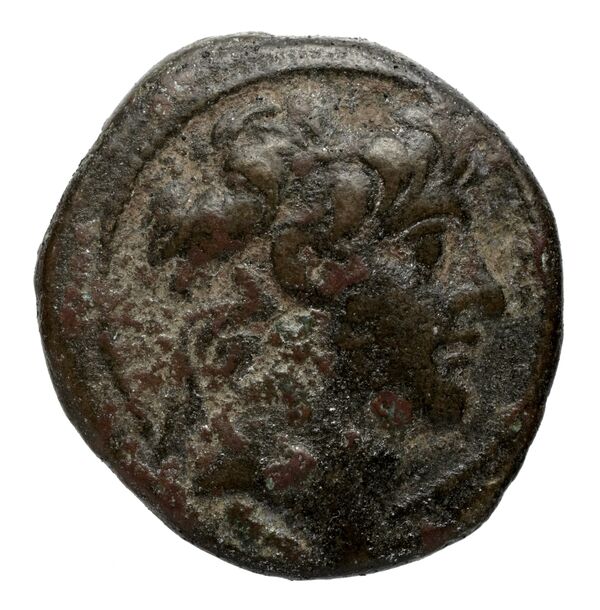 аверс Seleucid Coins (part 2) 2432.1a