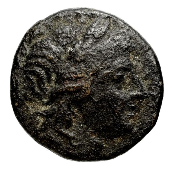 Seleucid Coins (part 1) 347, аверс, bnf-hrc