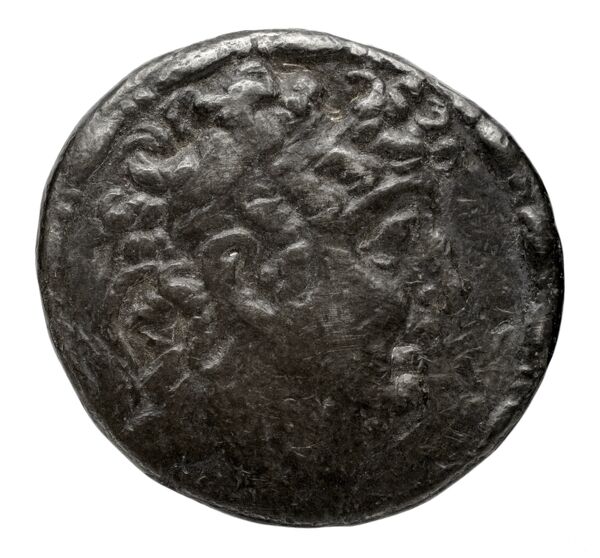 аверс Seleucid Coins (part 2) 2463.2j