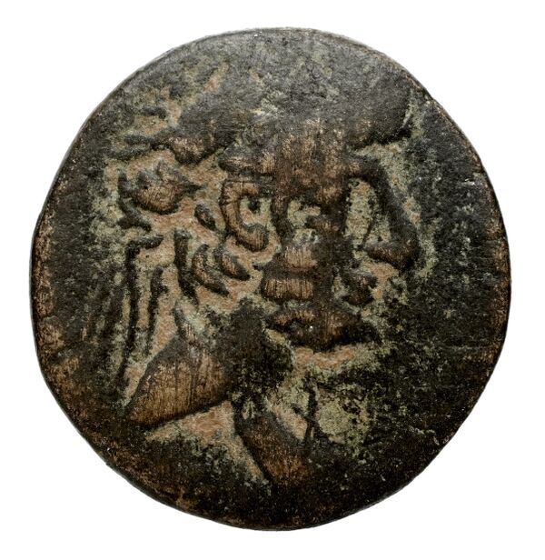 аверс Seleucid Coins (part 2) 2478
