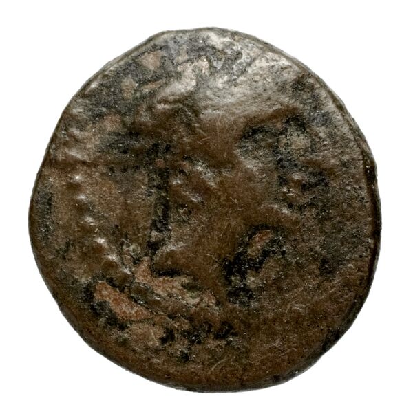 аверс Seleucid Coins (part 2) 2483a