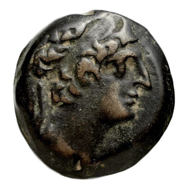 аверс Seleucid Coins (part 2) 2477