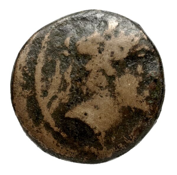 аверс Seleucid Coins (part 2) 2479