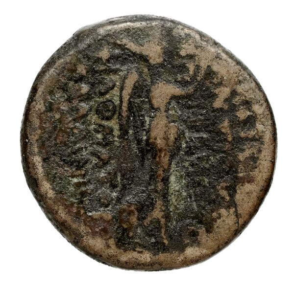 реверс Seleucid Coins (part 2) 2479