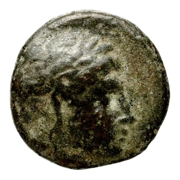 Seleucid Coins (part 1) 528, аверс, bnf-hrc