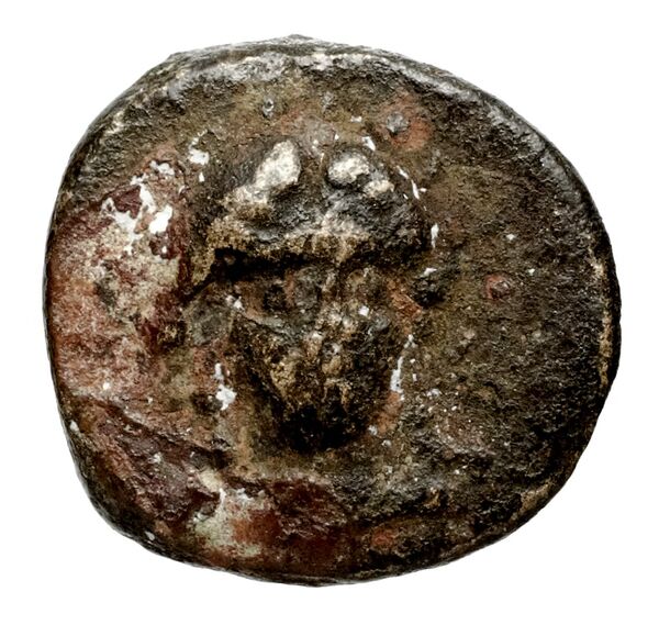 Seleucid Coins (part 1) 597, аверс, BnF (HRC)