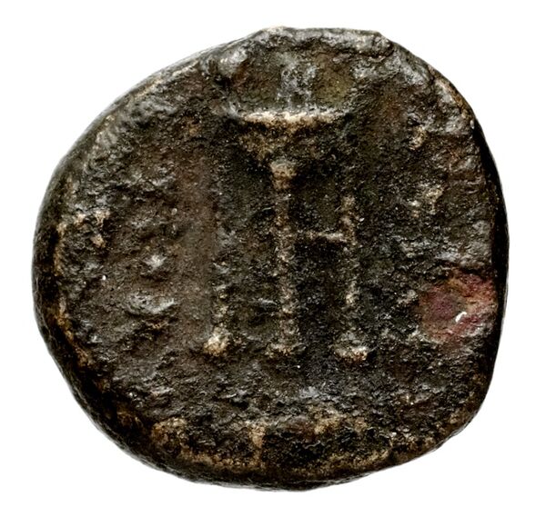 Seleucid Coins (part 1) 597, реверс, BnF (HRC)
