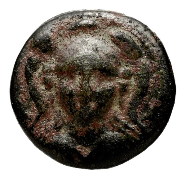 аверс Seleucid Coins (part 1) 314