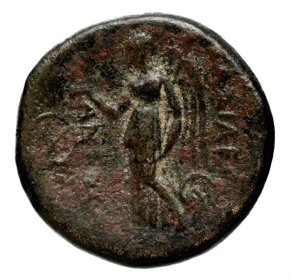 реверс Seleucid Coins (part 1) 314