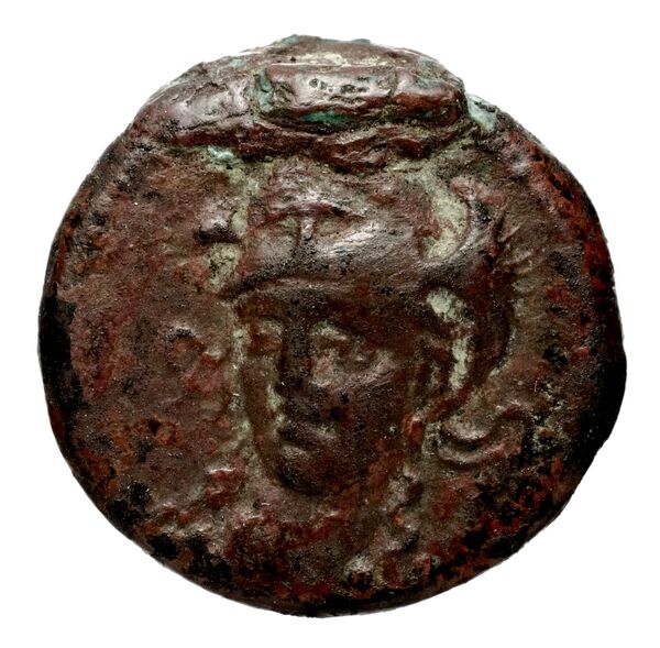 аверс Seleucid Coins (part 1) 592
