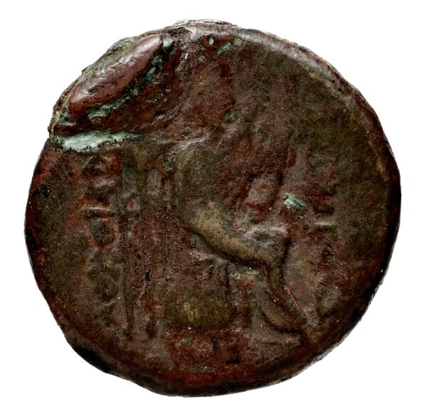 реверс Seleucid Coins (part 1) 592