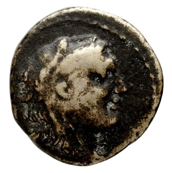 аверс Seleucid Coins (part 1) 243