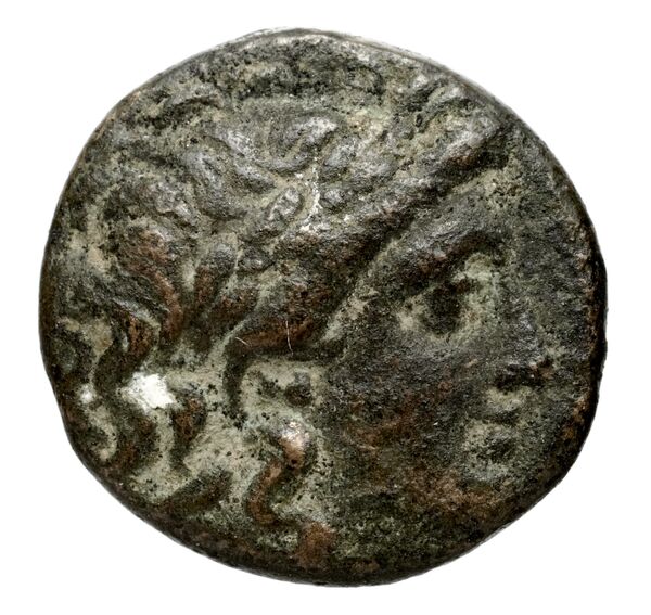 аверс Seleucid Coins (part 1) 537b