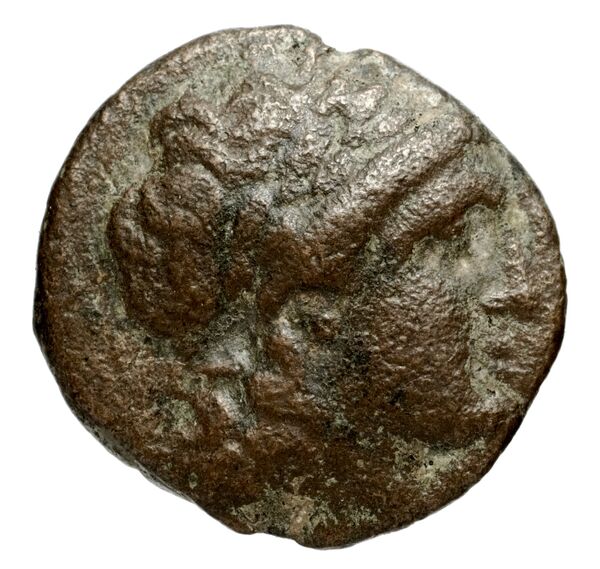 Seleucid Coins (part 1) 522.1, аверс, BnF (HRC)