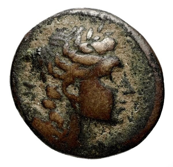 Seleucid Coins (part 1) 575.1b, аверс, BnF (HRC)