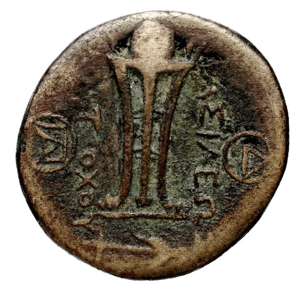 Seleucid Coins (part 1) 575.1b, реверс, BnF (HRC)