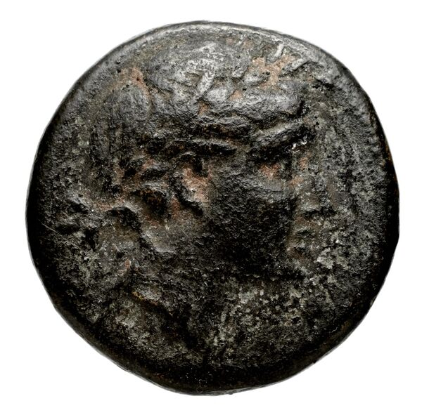 аверс Seleucid Coins (part 1) 575.1a