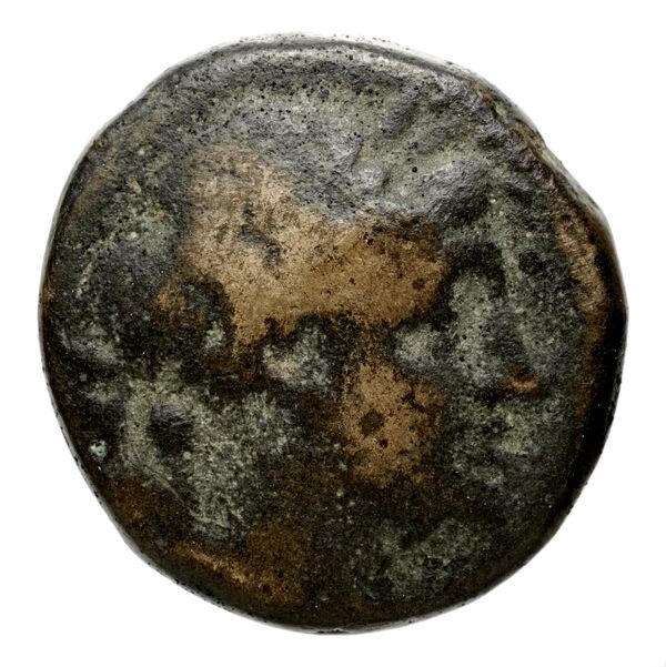 Seleucid Coins (part 1) 575.1b, аверс, BnF (HRC)