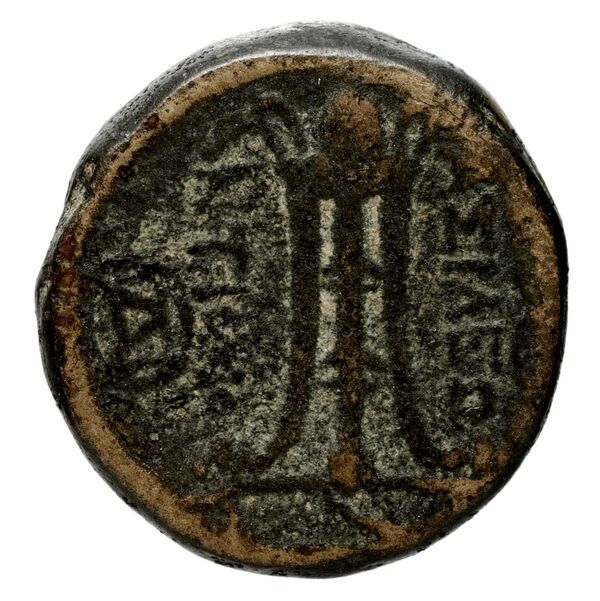 Seleucid Coins (part 1) 575.1b, реверс, BnF (HRC)