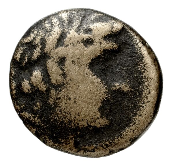 аверс Seleucid Coins (part 1) 1050.1a