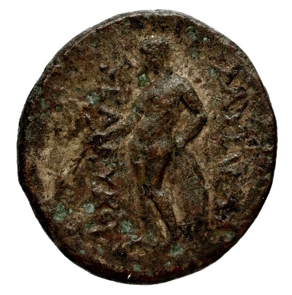 Seleucid Coins (part 1) 660, реверс, bnf-hrc