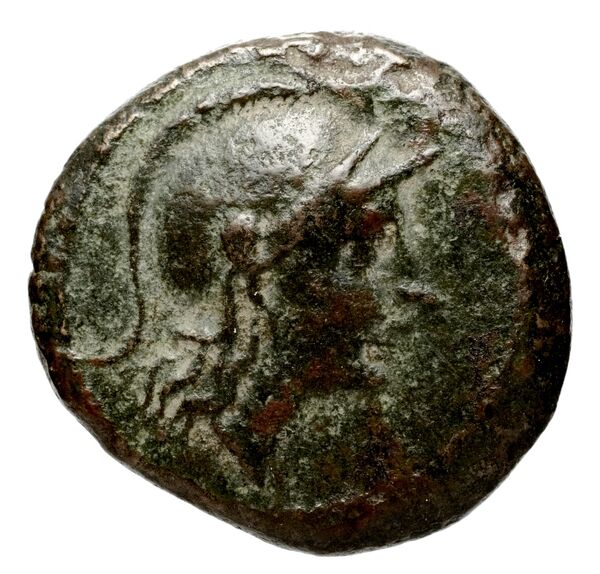 Seleucid Coins (part 1) 818, аверс, BnF (HRC)