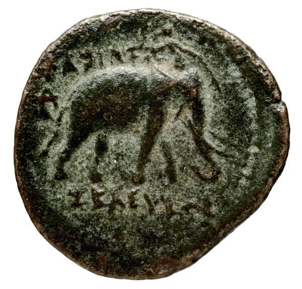 Seleucid Coins (part 1) 818, реверс, BnF (HRC)